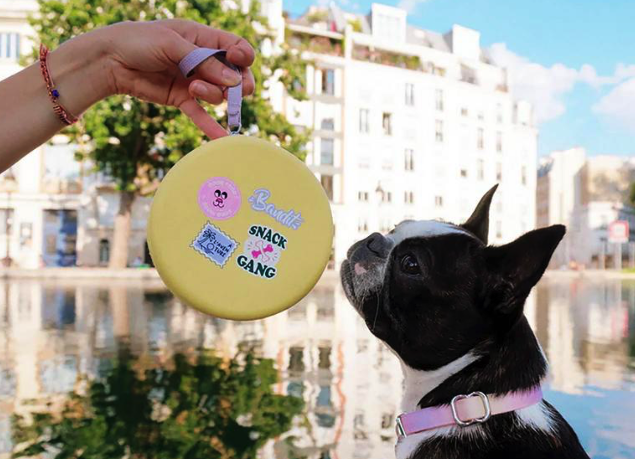 Einziehbarer Reise-Napf für Hunde